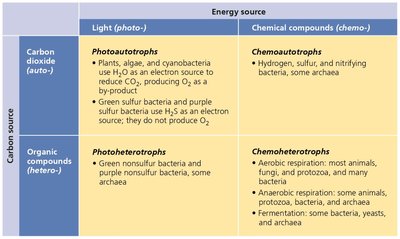 Table of four basic groups of organisms based on carbon and energy sources