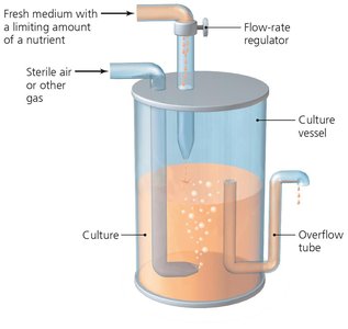 Schematic of chemostat