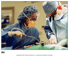 Hospital environment and infection risk