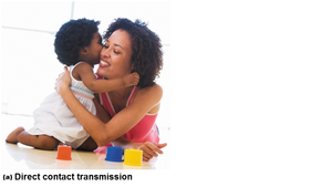 Direct contact transmission