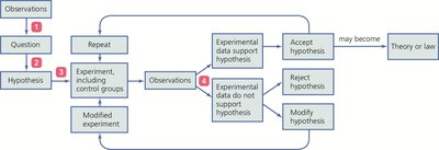 Flowchart of the scientific method