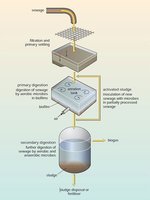 Microbial digestion in waste treatment