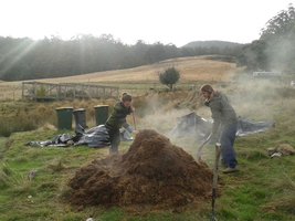 Compost pile heating due to microbial metabolism