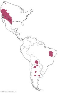 Endemic areas of Coccidioides in the Americas
