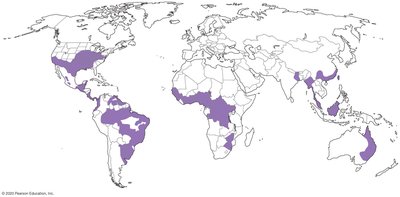 Global distribution map of Histoplasmosis endemic areas
