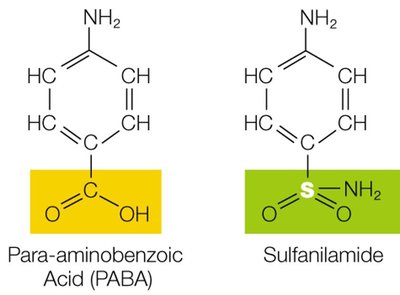 Structural similarity between PABA and sulfanilamide