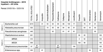 Example of a hospital antibiogram