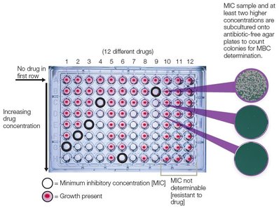 Broth dilution test for MIC and MBC