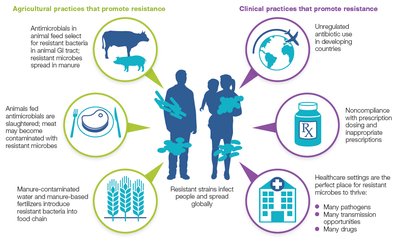 Factors promoting antimicrobial resistance in agriculture and healthcare