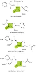 Beta-lactam ring structures in different drug families