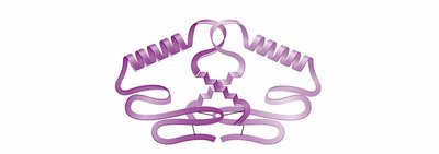 Quaternary structure: multiple polypeptides