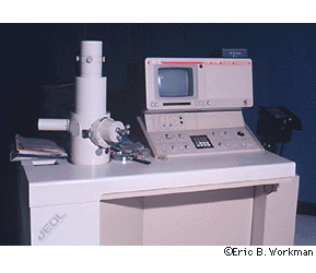 Scanning electron microscope (SEM)