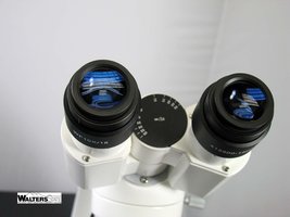 Microscope eyepiece (ocular)