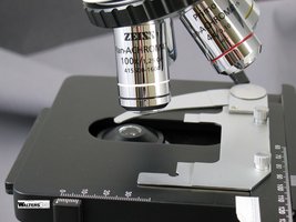 Microscope objective lens