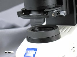 Microscope light source