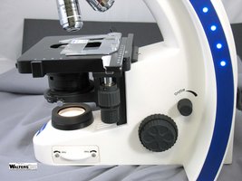 Microscope rheostat and focus adjustments