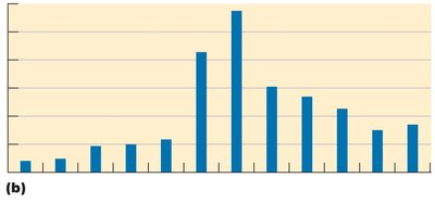 Epidemiological graphs: Lyme disease and tuberculosis cases