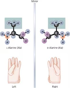 L- and D- alanine as mirror images