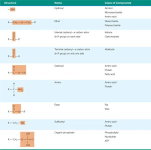 Table of functional groups in biological molecules