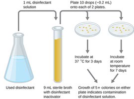Use-dilution test procedure