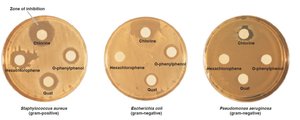 Disk-diffusion method for disinfectant evaluation