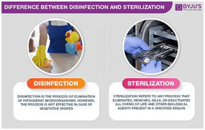 Difference between disinfection and sterilization