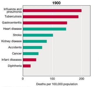 Death rates from infectious and noninfectious diseases in 1900