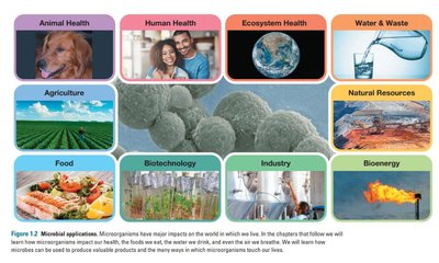 Microbial applications in health, environment, agriculture, food, biotechnology, industry, and bioenergy