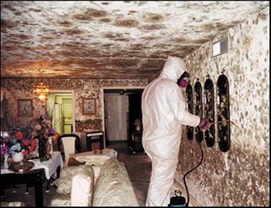 Mildew infestation in a house
