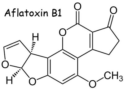Aflatoxin B1 chemical structure