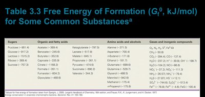 Calculation of Gibbs Free Energy
