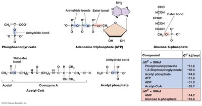 High-energy compounds