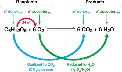 Electron donor and acceptor example