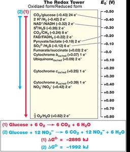 Redox tower and energy calculations