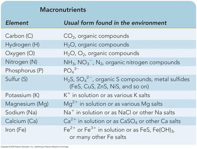 Macronutrients table