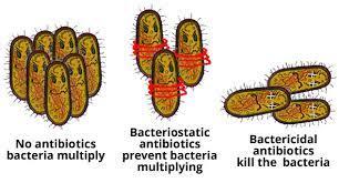 Diagram of major action modes of antibacterial drugs