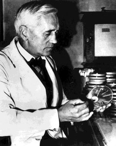 Historical figure with petri dishes, representing the discovery of penicillin