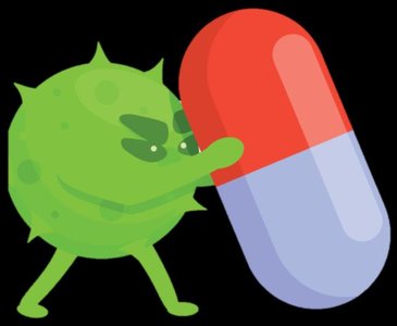 Table showing the spectrum of activity of antibiotics and other antimicrobial drugs
