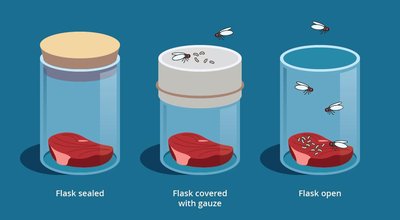 Redi's experiment: sealed, gauze-covered, and open flasks