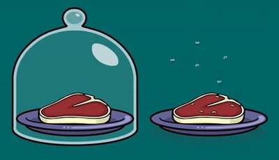 Pasteur's swan-necked flask experiment