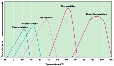 Temperature ranges for microbial growth
