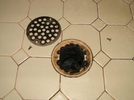Biofilm in a drain