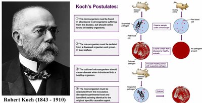 Koch's Postulates diagram
