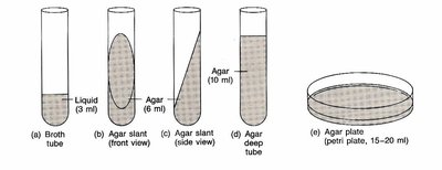 Types of media tubes and plates
