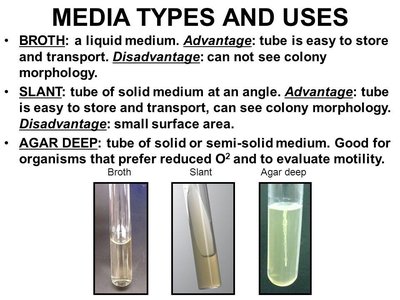 Media types and uses