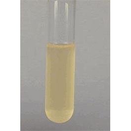 Complex media (blood agar)