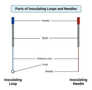 Parts of inoculating loops and needles
