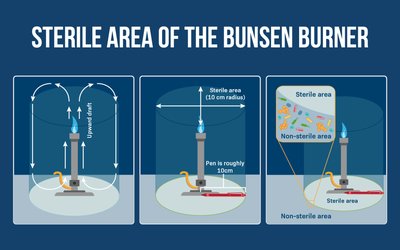 Sterile area of the Bunsen burner