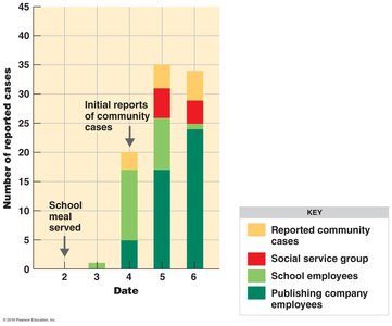 Epidemiological chart of norovirus outbreak cases