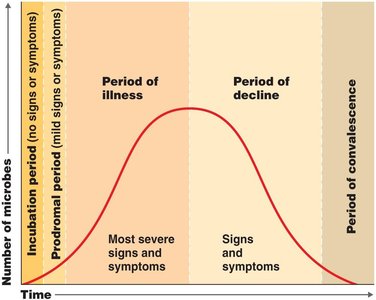Graph of stages of infectious disease over time